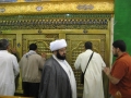 الرحلة الجماعية « السابق