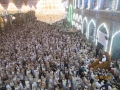 الصورة