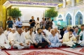 الصورة 43 « السابق